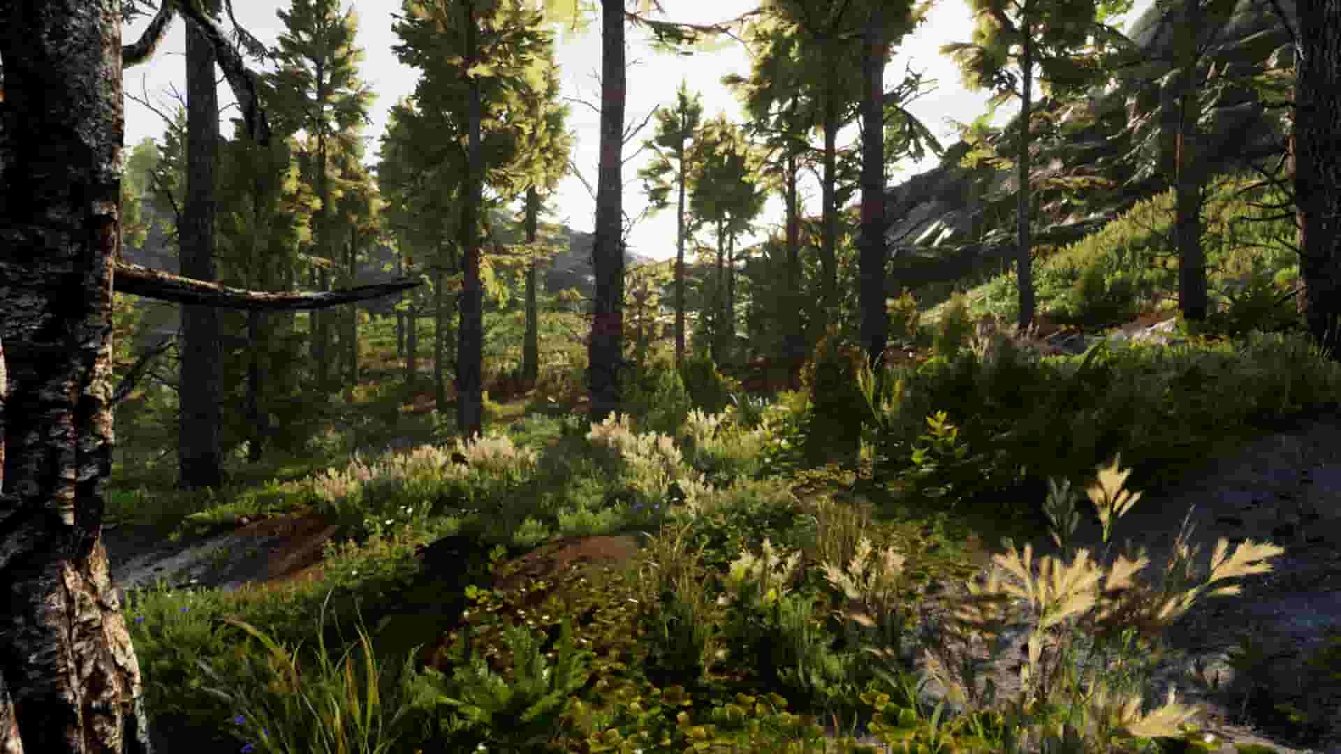 UE4插件-专业自然环境创建工具Landscape Pro 3 – Automatic Natural Environment Creation Tool