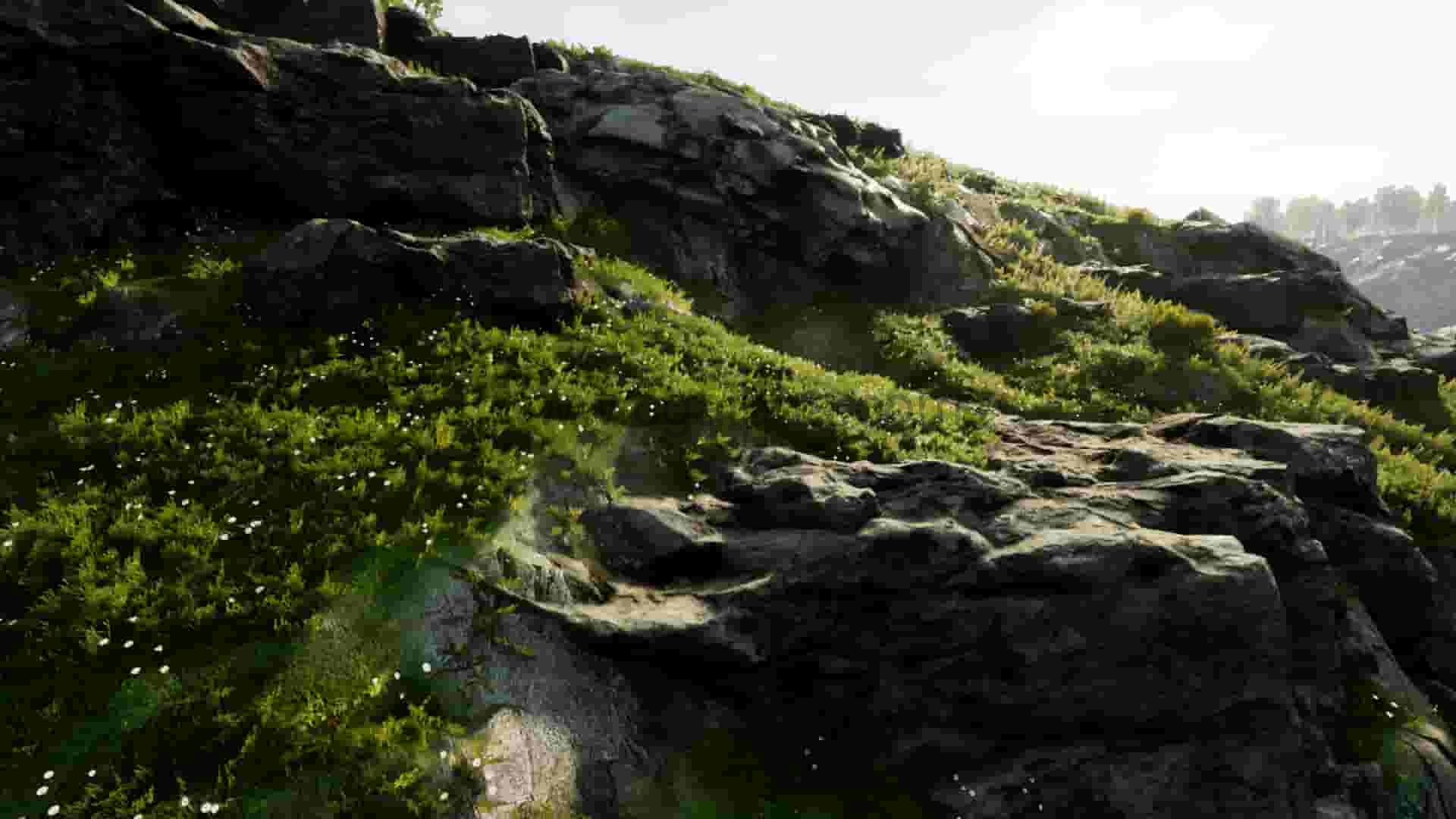 UE4插件-专业自然环境创建工具Landscape Pro 3 – Automatic Natural Environment Creation Tool