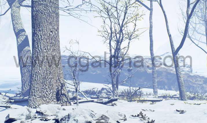 【UE4】冬季森林资产包Winter Forest Set