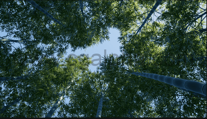 【UE4】树林竹林资产 XBH TREE Vol. 3