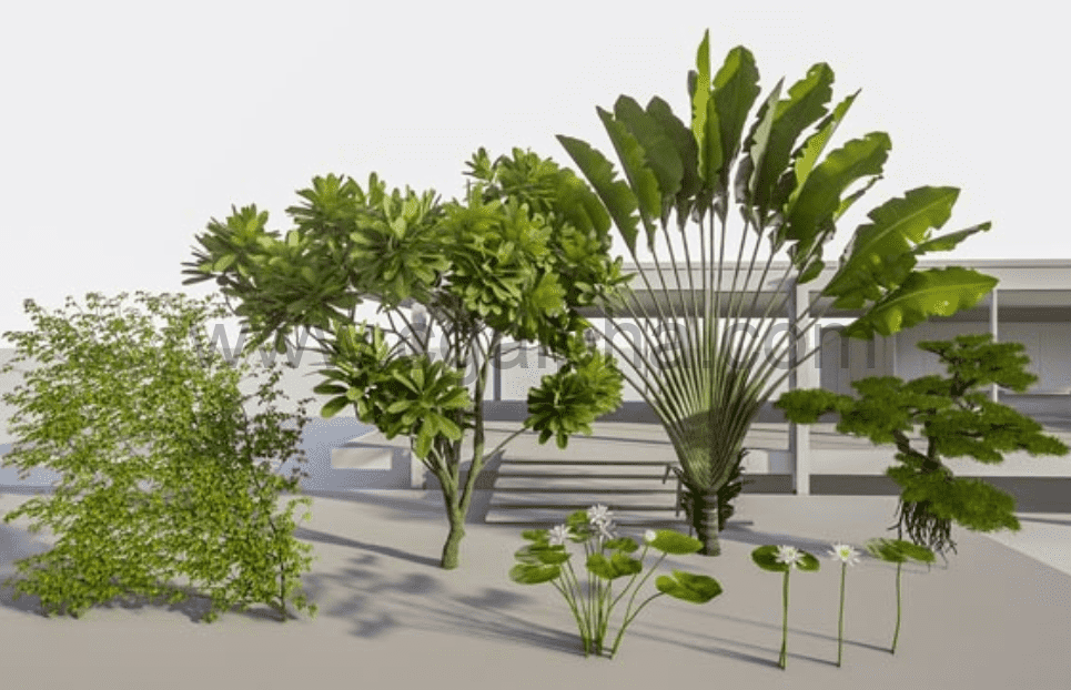 Lumion树木3D模型集