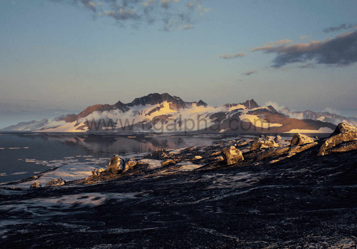 【UE4】北极环境资产包Brushify – Arctic Pack