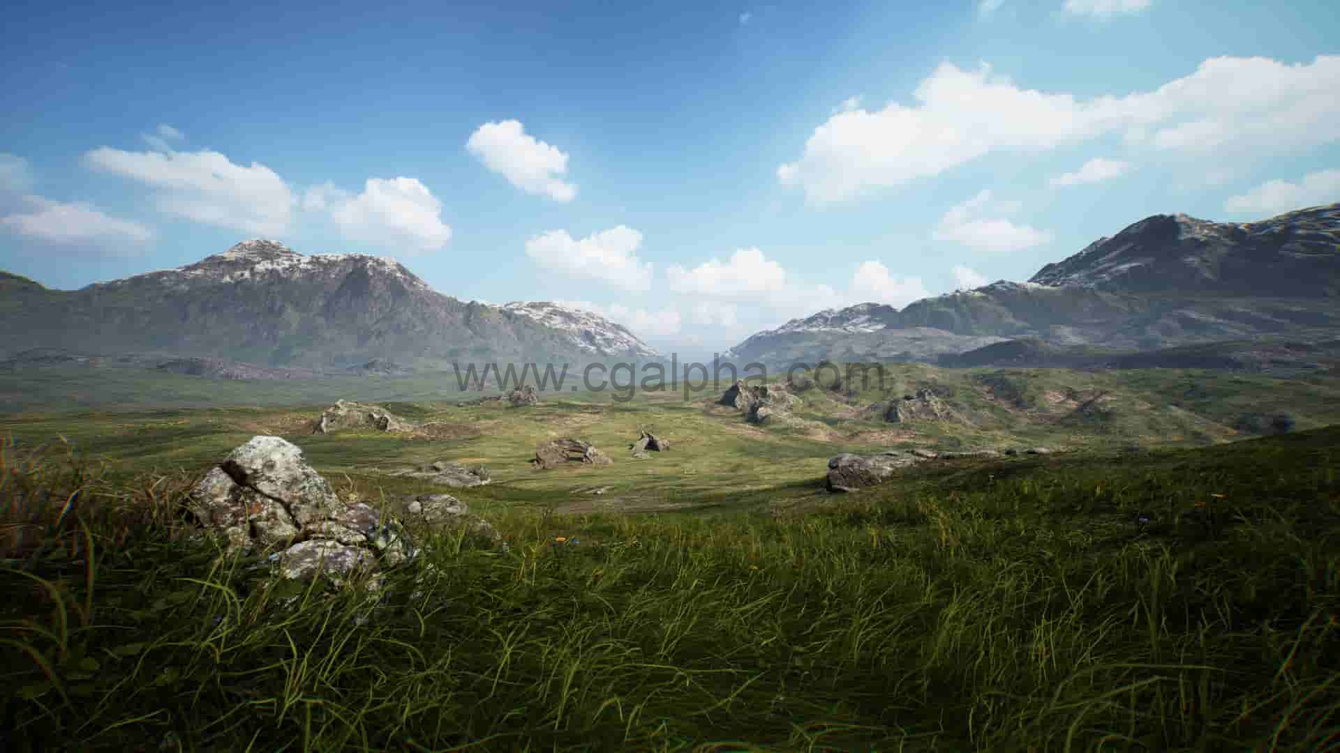 【UE4】草原资产包 Brushify-Grasslands Pack