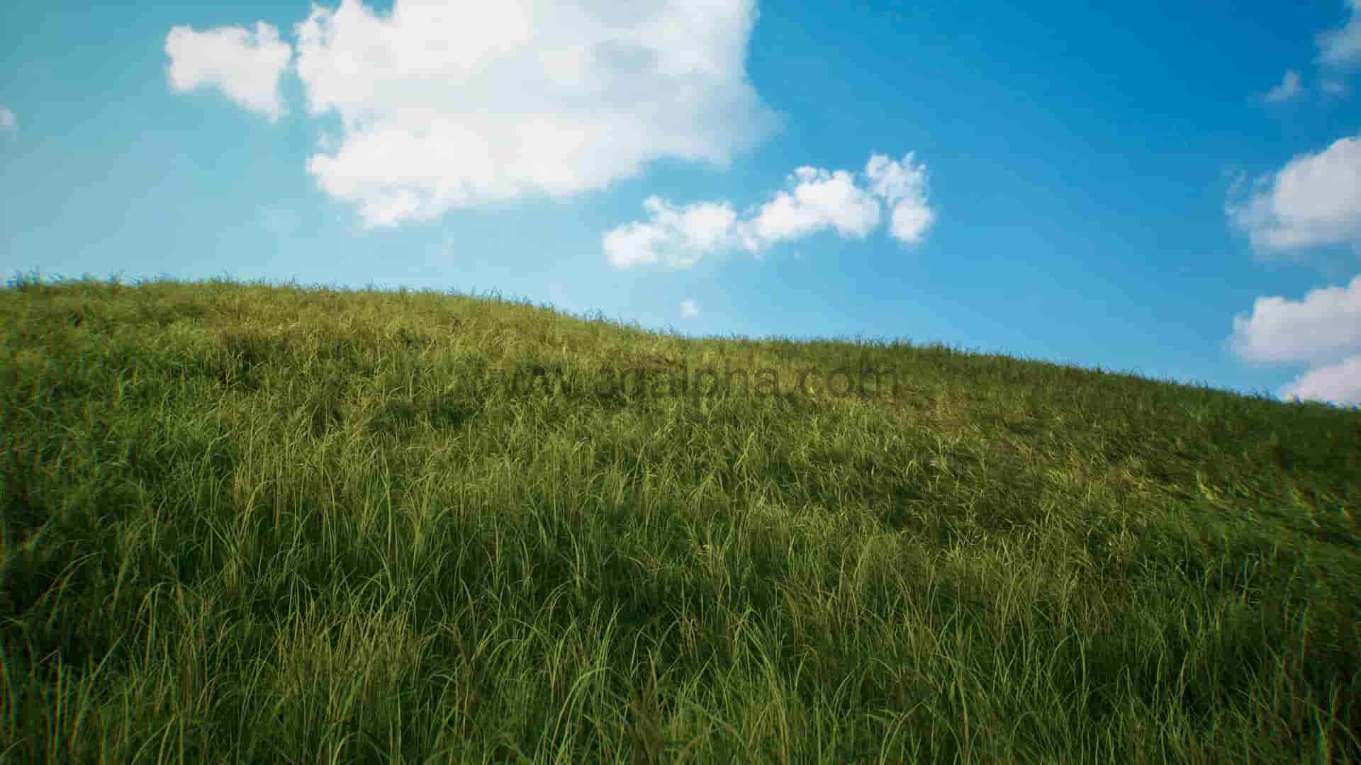 【UE4】草原资产包 Brushify-Grasslands Pack