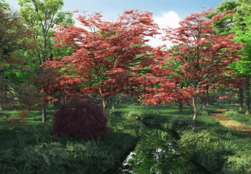 Maxtree – Plant Models Vol.26