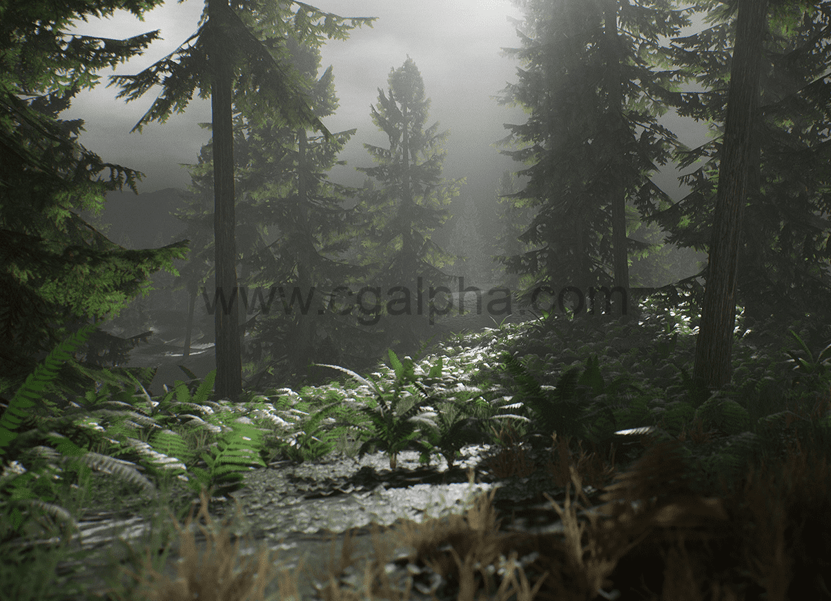 【UE4】写实的森林资产包 Realistic Forest Pack