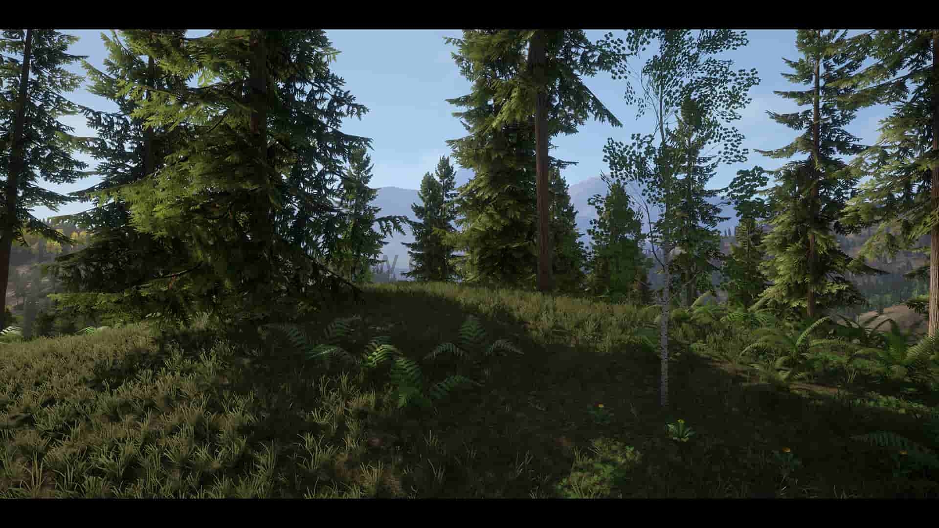 【UE4】写实的森林资产包 Realistic Forest Pack