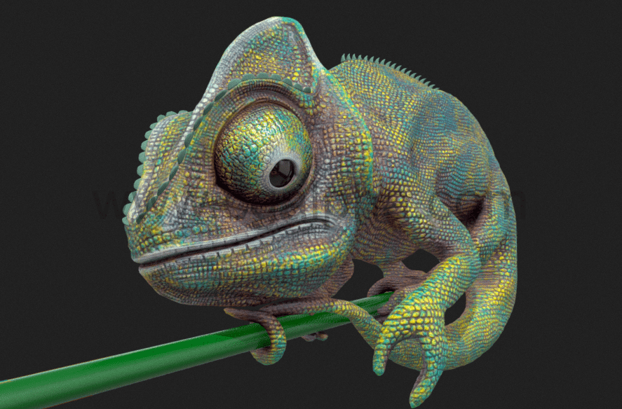 变色龙模型 Chameleon model