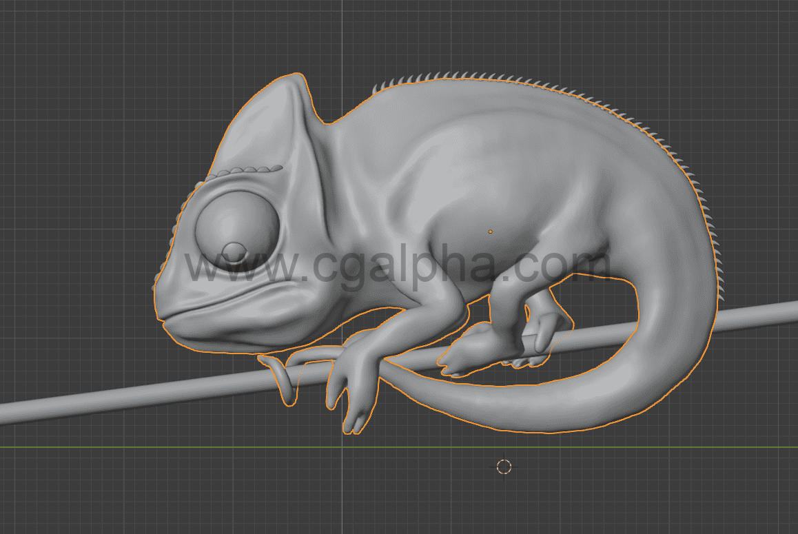 变色龙模型 Chameleon model