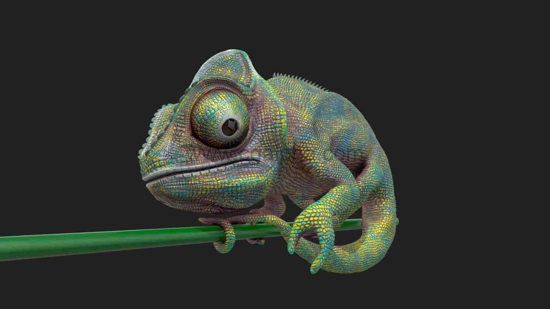 变色龙模型 Chameleon model
