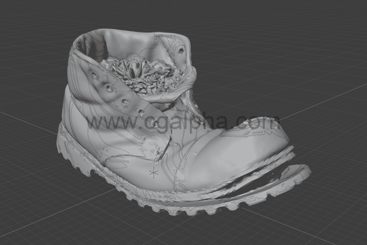 仙人掌植物的旧靴子模型 Old Boot With Cactus Plant