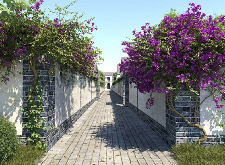 Maxtree – Plant Models Vol.37