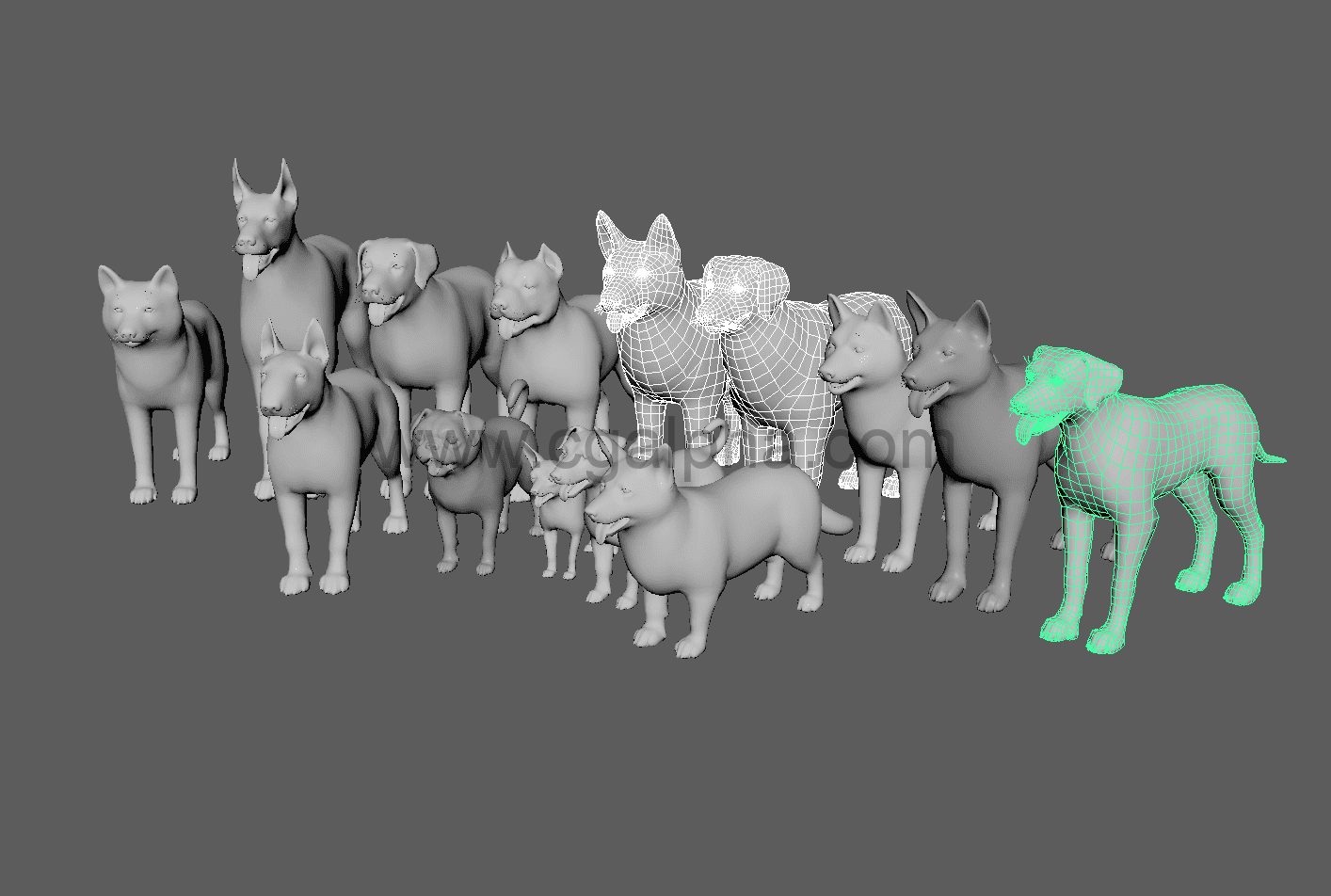 狗模型资产动物3D模型