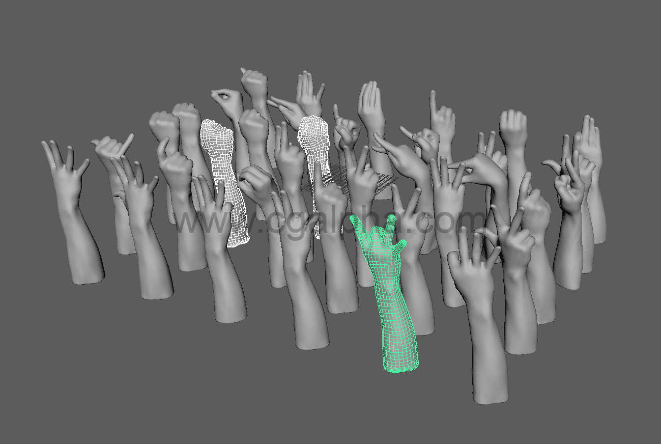 男性各种手势3D模型 Male Hands Alphabet Numbers