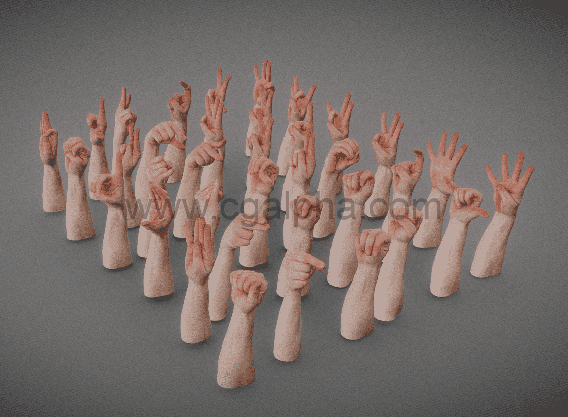 男性各种手势3D模型 Male Hands Alphabet Numbers
