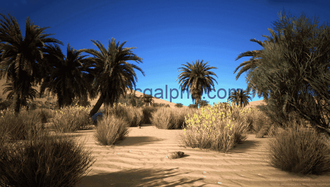 【UE4】沙漠植被 Desert Vegetation