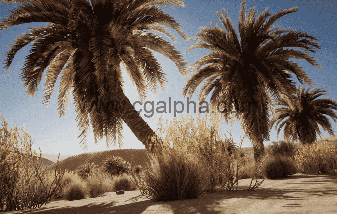 【UE4】沙漠植被 Desert Vegetation