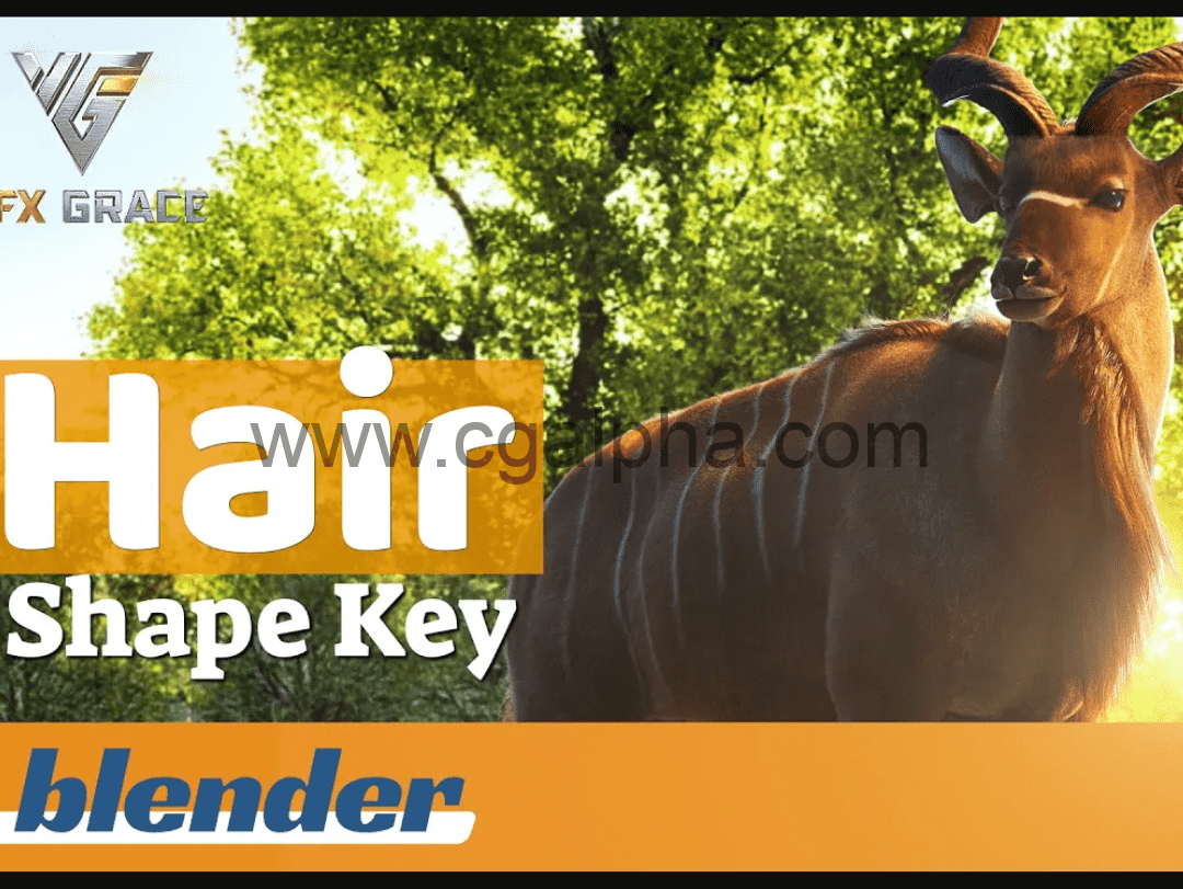 Blender插件 – 写实毛发生成插件 Hairshapekey +使用教程