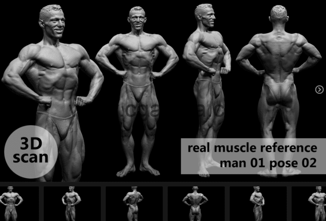 模型资产 – 3D扫描真实肌肉解剖Man01姿势02