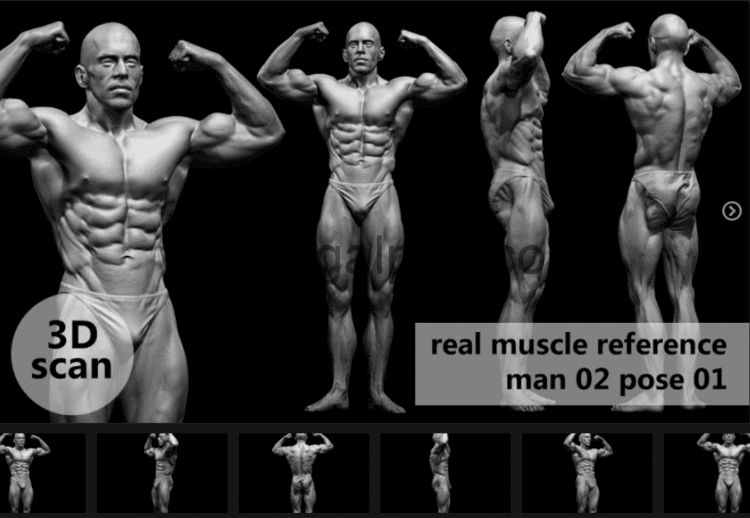 模型资产 – 3D扫描真实肌肉解剖Man02姿势01