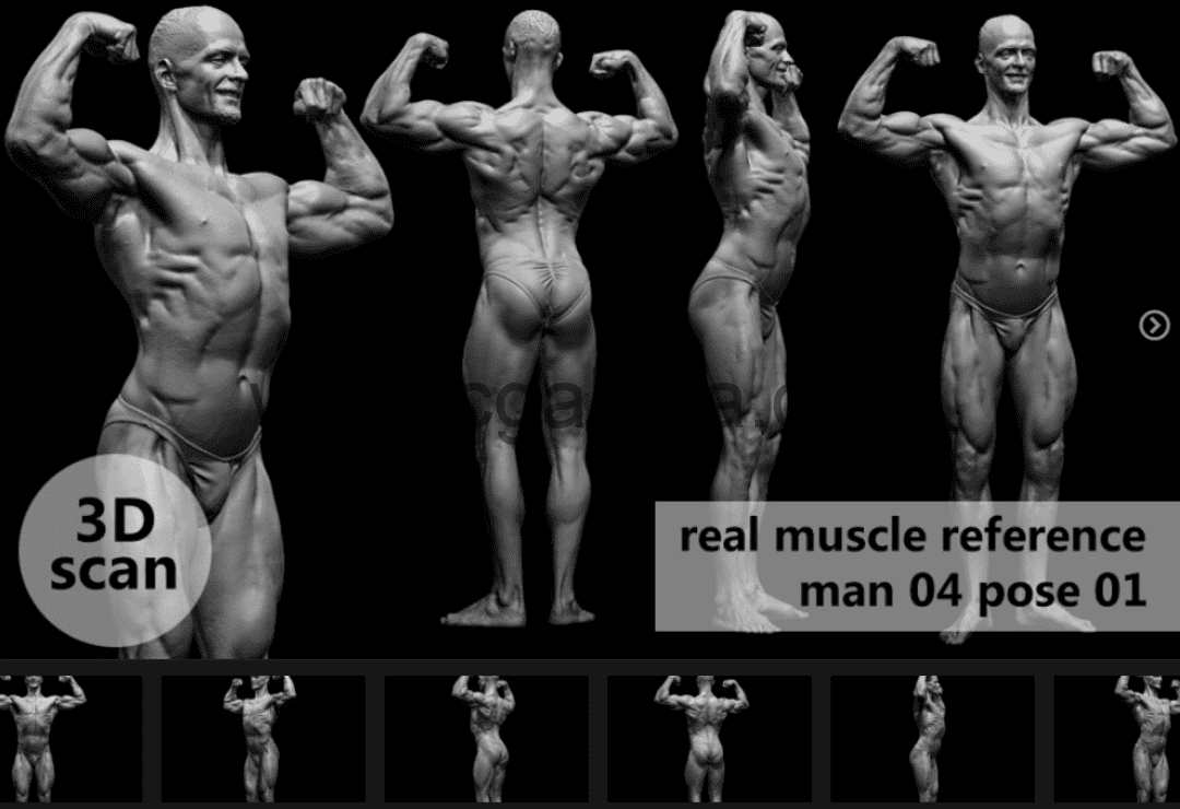 模型资产 – 3D扫描真实肌肉解剖man04姿势01