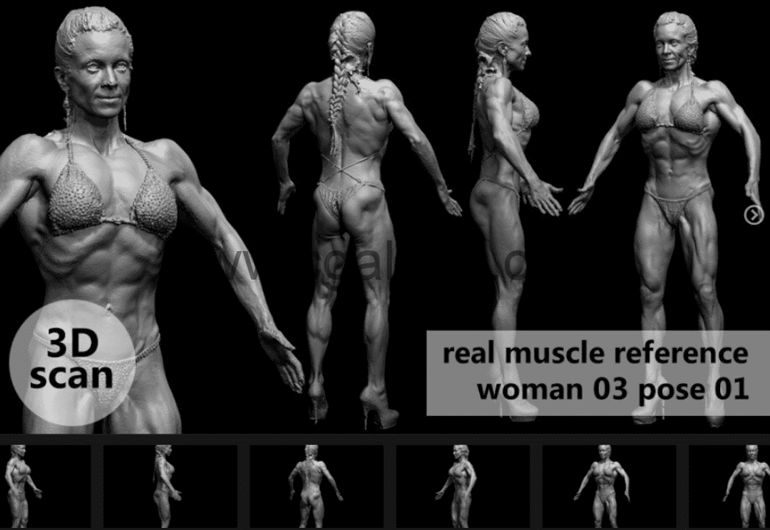 模型资产 – 3D扫描真实肌肉解剖woman03姿势01