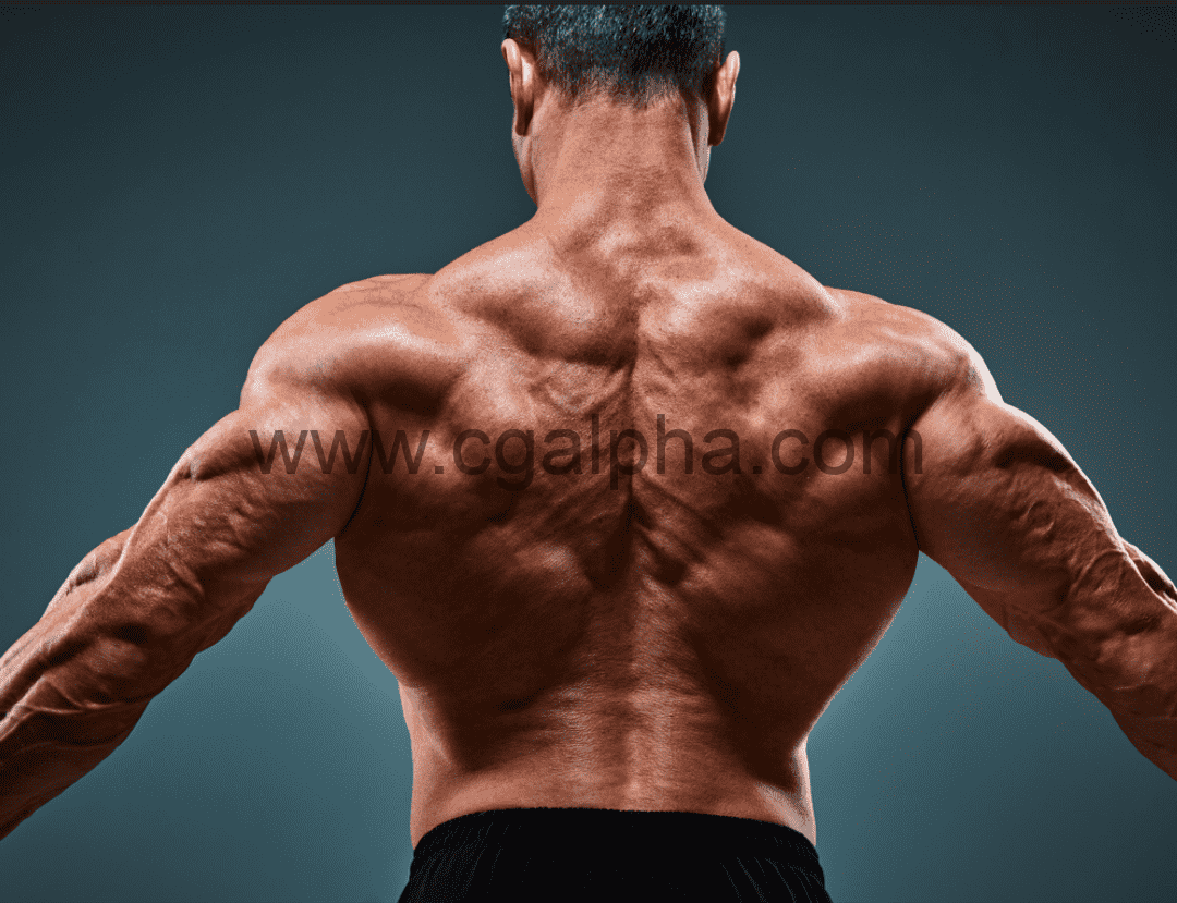 105张男性瑜伽姿势健身高清参考图片