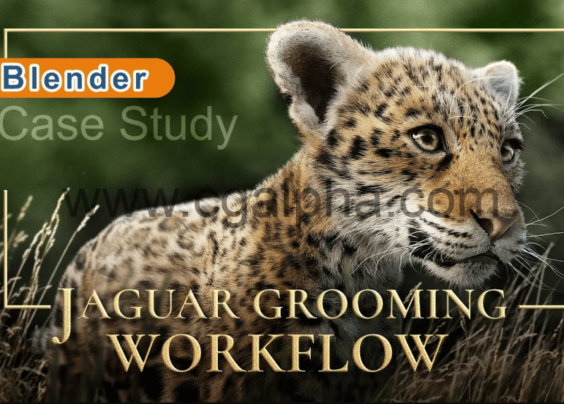 【中文字幕】Blender教程 – 美洲豹毛发梳理制作全流程 Jaguar Grooming Workflow