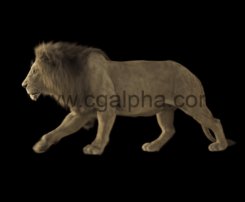 【中文字幕】Houdini教程 – 动物毛发梳理制作 Grooming Lion Fur in Houdini