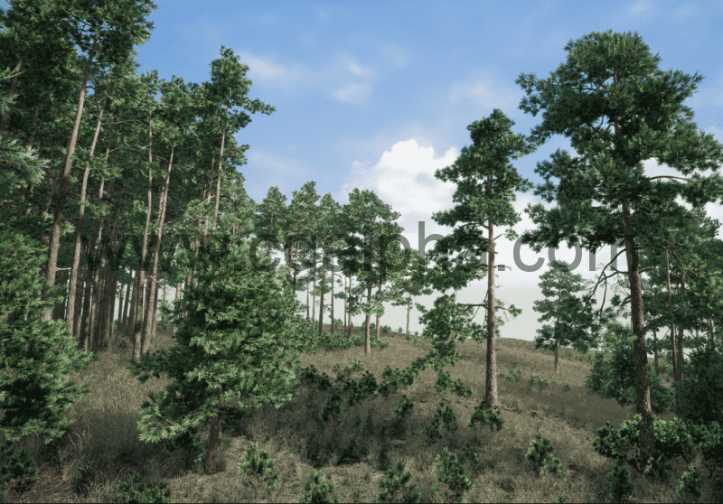 【UE4】松树 Pine Tree