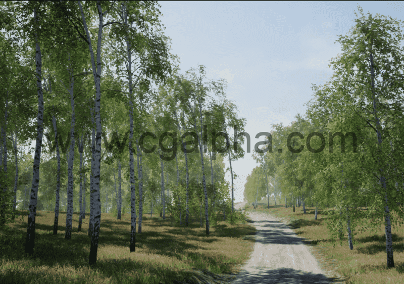 【UE4】白桦树 Trees: Birch Tree