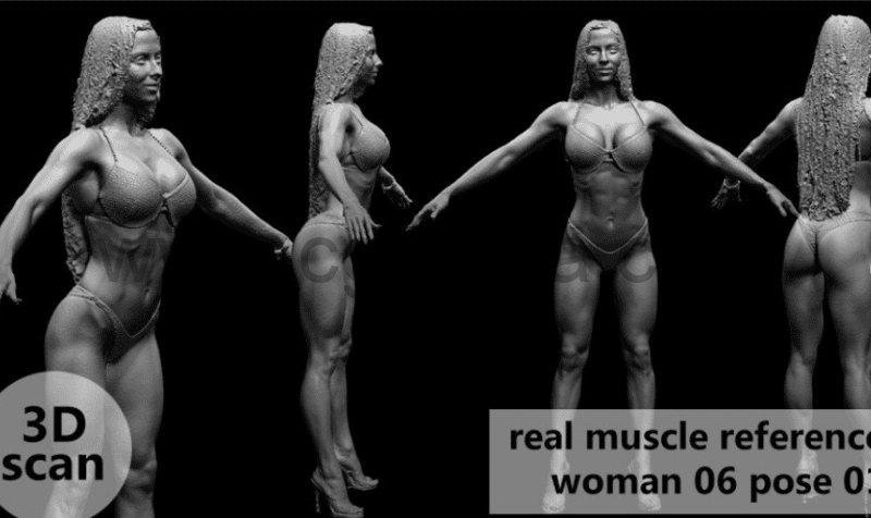 模型资产 – 3D扫描真实肌肉解剖woman06姿势01