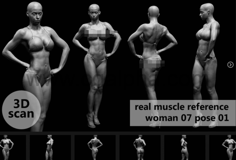 模型资产 – 3D扫描真实肌肉解剖woman07姿势01
