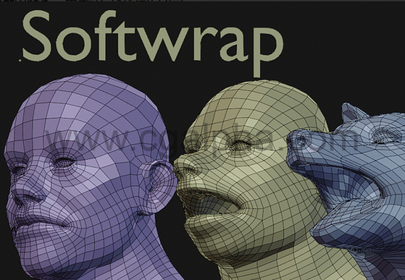 Blender插件 – 重新拓扑布线插件 Softwrap – Dynamics For Retopology