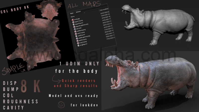 模型资产 – 河马模型贴图纹理 HIPPOPOTAMUS