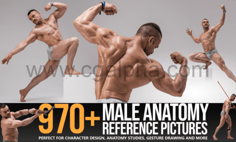 970张男性造型肌肉运动姿势参考图片