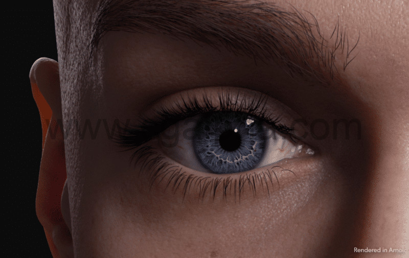 写实眼睛模型贴图预设素材 Eye Kit