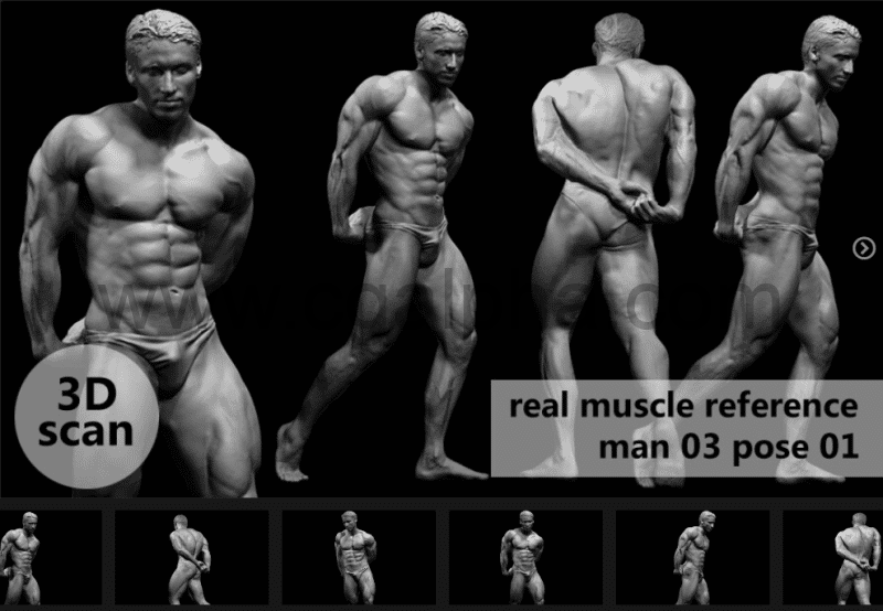 模型资产 – 3D扫描真实肌肉解剖Man03姿势01
