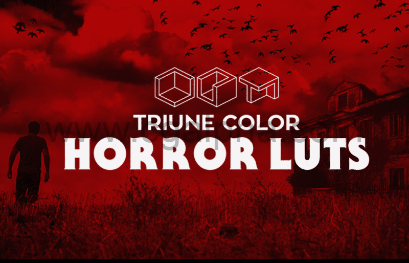 【LUT】39个惊悚恐怖效果 Horror LUTs