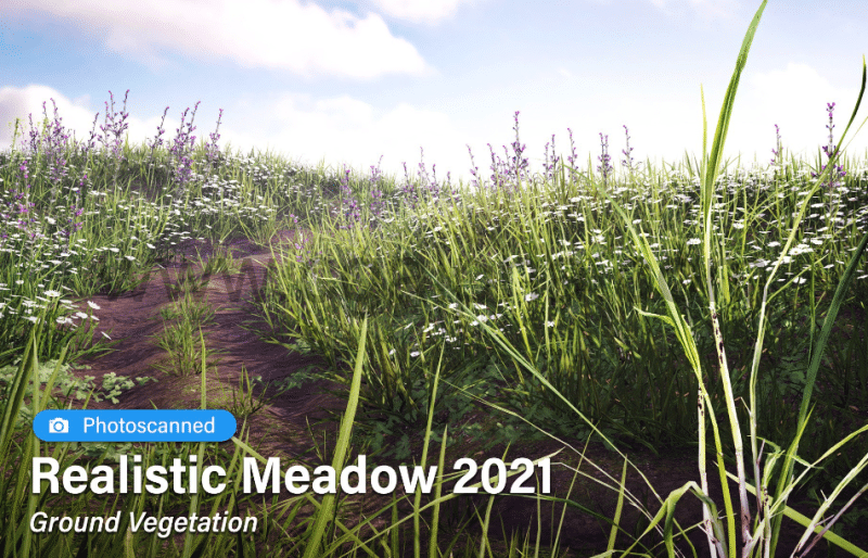 Unity – 写实绿色花草植物 Realistic Meadow Ground Vegetation