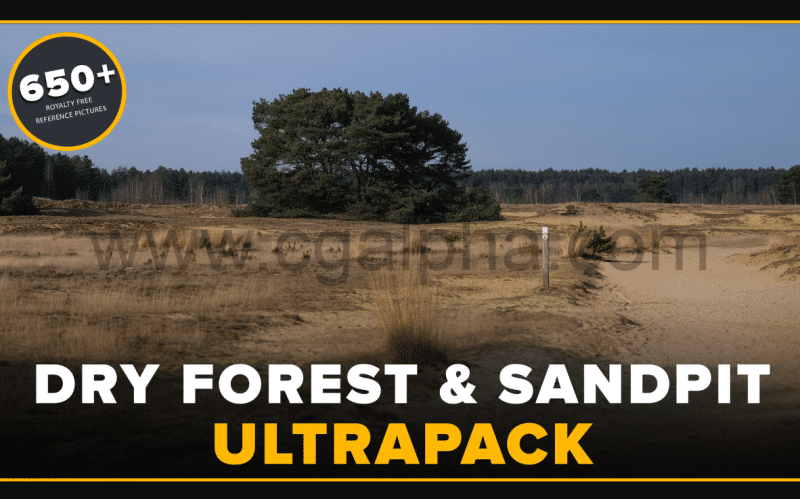 650+干燥森林和海滩参考图片 Ultrapack