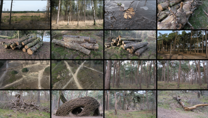 650+干燥森林和海滩参考图片 Ultrapack