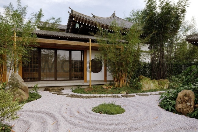 Maxtree – Plant Models Vol 90