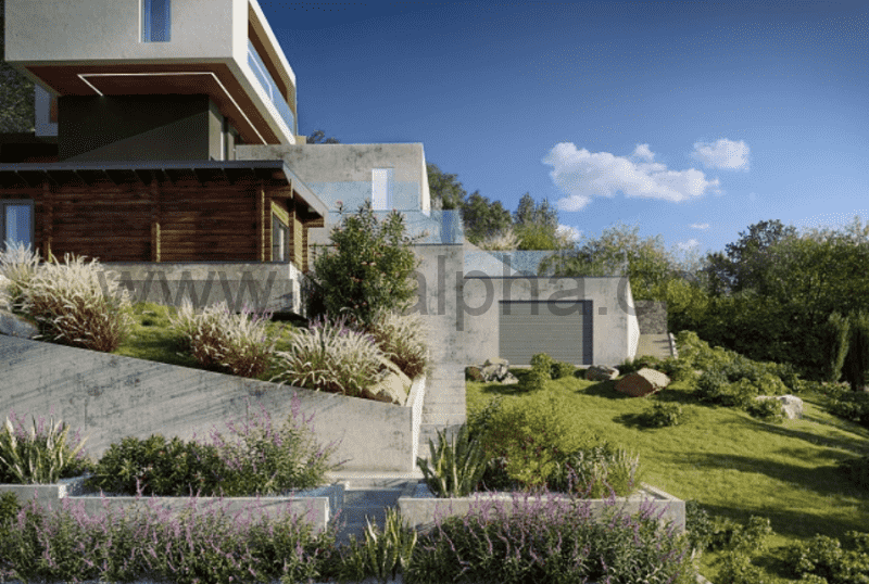 Maxtree – Plant Models Vol. 85