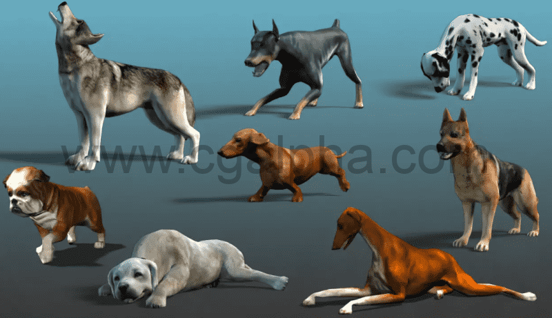 Unity – 犬类模型资产 Dog Pack
