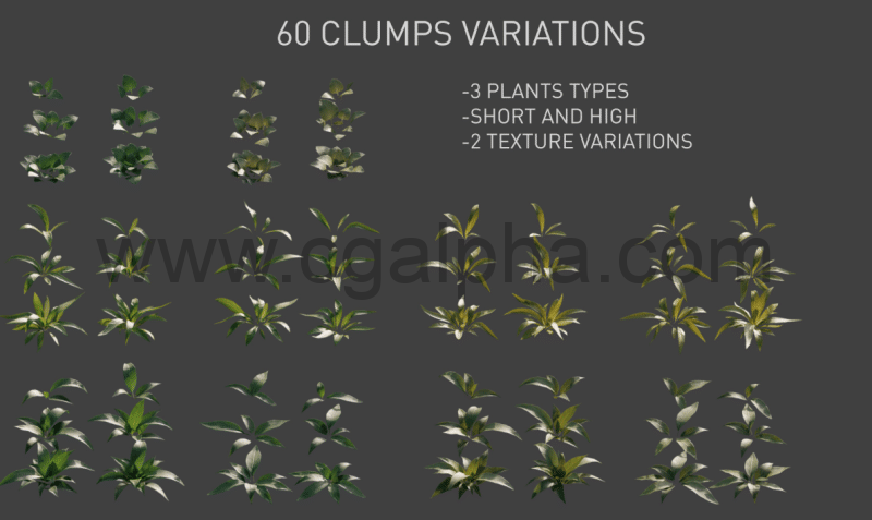 模型资产 – 植物包 Plants Pack 01