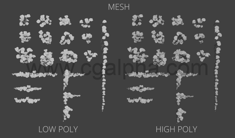 模型资产 – 植物包 Plants Pack 02