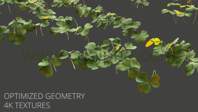 模型资产 – 植物包 Plants Pack 03
