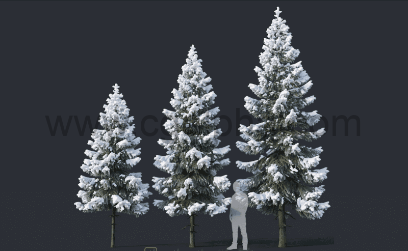 模型资产 – 3D雪景冷杉树 3D Spruce 04