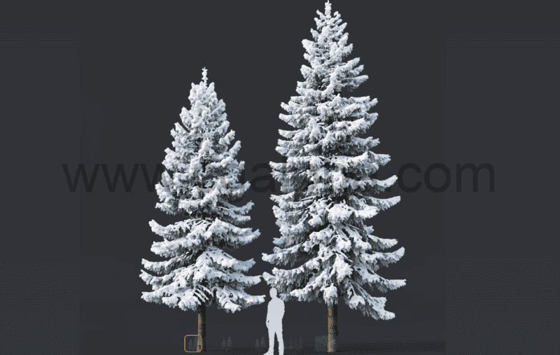 模型资产 – 3D雪景云杉 3D Spruce
